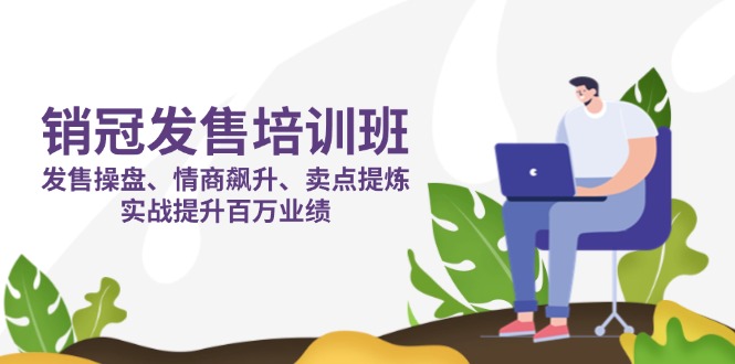 销冠 发售培训班：发售 操盘+情商 飙升+卖点 提炼，实战提升百万业绩-智宝网创