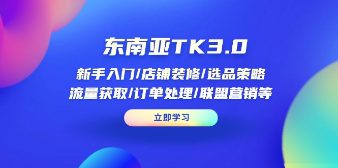 东南亚TK3.0：新手入门/店铺装修/选品策略/流量获取/订单处理/联盟营销等-智宝网创