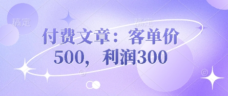 付费文章：客单价500，利润300-智宝网创