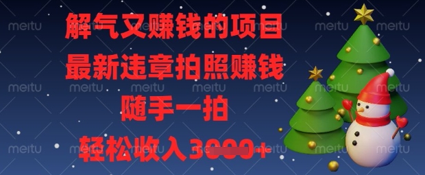 解气又挣钱的项目，最新违章拍照挣钱，随手一拍，轻松收入数张【揭秘】-智宝网创