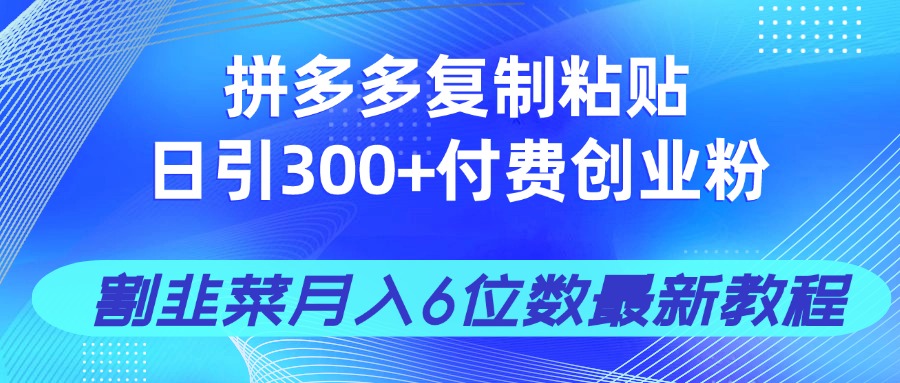 拼多多复制粘贴日引300+付费创业粉，割韭菜月入6位数最新教程！-智宝网创