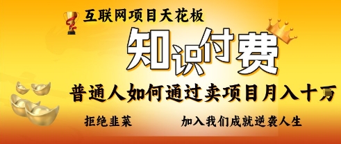 互联网项目天花板，知付付费项目，普通人如何通过卖项目月入十个，拒绝韭菜【揭秘】-智宝网创