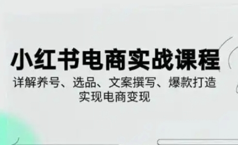 小红书从0-1实操课(2023-2025)，详解养号、选品、文案撰写、爆款打造实现电商变现-智宝网创