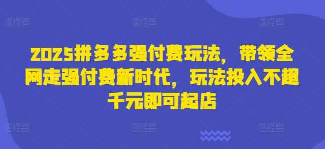 2025拼多多强付费玩法，带领全网走强付费新时代，玩法投入不超千元即可起店-智宝网创