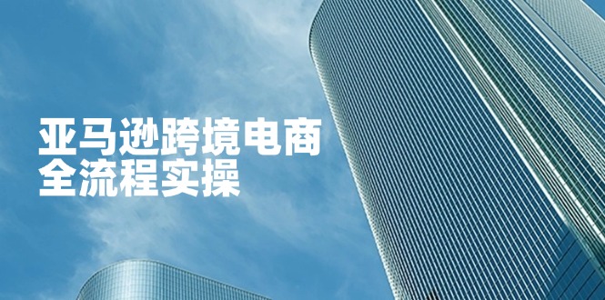 亚马逊跨境电商全流程实操，教你从零开始，掌握店铺运营与广告技巧-智宝网创