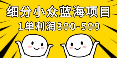 细分小众蓝海项目，一单利润3张，每月收入稳定过1w+-智宝网创