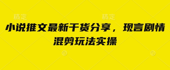 小说推文最新干货分享，现言剧情混剪玩法实操-智宝网创
