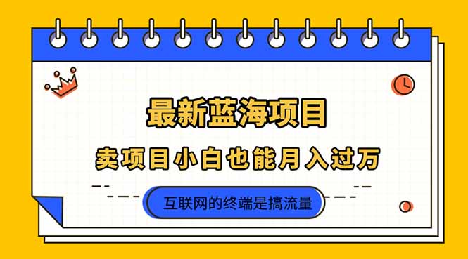 2025年最新蓝海项目，卖项目小白也能月入过万-智宝网创