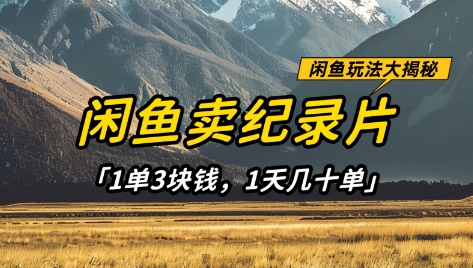 .闲鱼卖纪录片1单3块钱，1天几十单，项目稳定有潜力-智宝网创