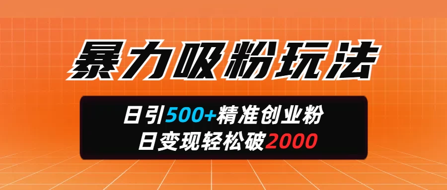 暴力吸粉玩法，日引500+精准创业粉，日变现轻松破2000-智宝网创