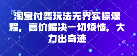 淘宝付费玩法无界实操课程，高价解决一切烦恼，大力出奇迹-智宝网创