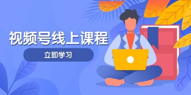 视频号实战课程，轻IP打造与运营技巧，掌握核心方法与策略-智宝网创