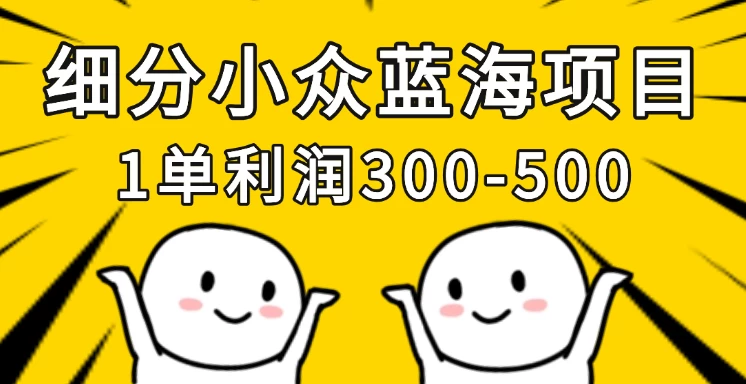 细分小众蓝海项目，一单利润300-500，每月收入稳定4w+-智宝网创