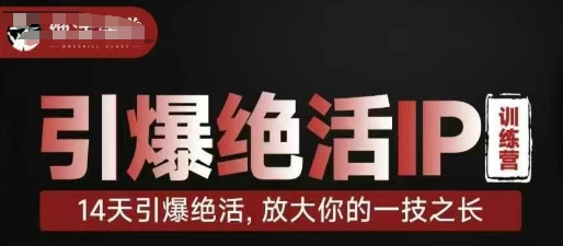 引爆绝活IP训练营，14天引爆绝活，放大你的一技之长-智宝网创