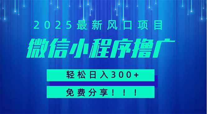 微信小程序撸广，最新风口项目，日入300+ 免费分享 可批量操作 小白可…-智宝网创