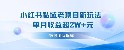 小红书私域项目新玩法，单月变现过W+-智宝网创