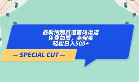 【轻云】最新情趣赛道首码渠道，免费加盟，高佣金，轻松日入5张+-智宝网创