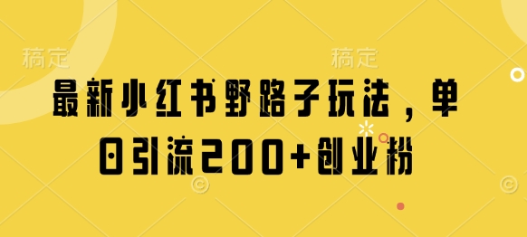 最新小红书野路子玩法，单日引流200+创业粉-智宝网创