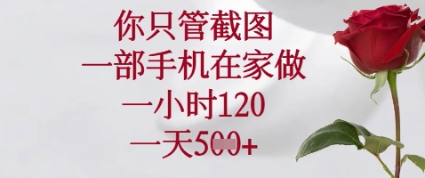 你只管截图，一部手机在家做，苹果安卓都可以，一小时120，一天5张+【揭秘】-智宝网创