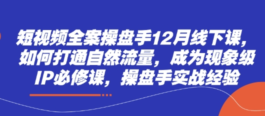 短视频全案操盘手12月线下课，如何打通自然流量，成为现象级IP必修课，操盘手实战经验-智宝网创