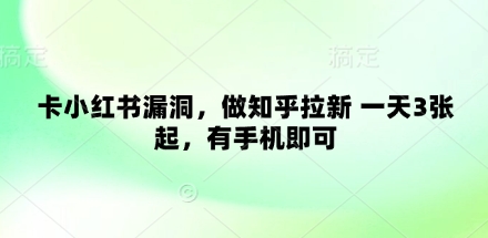 卡小红书漏洞，做知乎拉新 一天3张起，有手机即可-智宝网创
