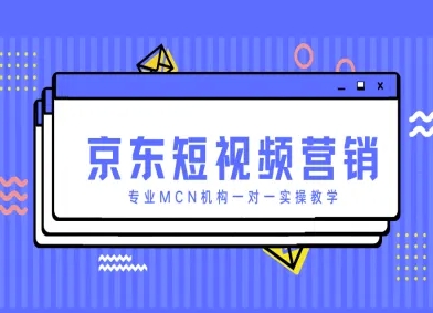 京东短视频营销项目，专业MCN机构一对一实操教学-智宝网创
