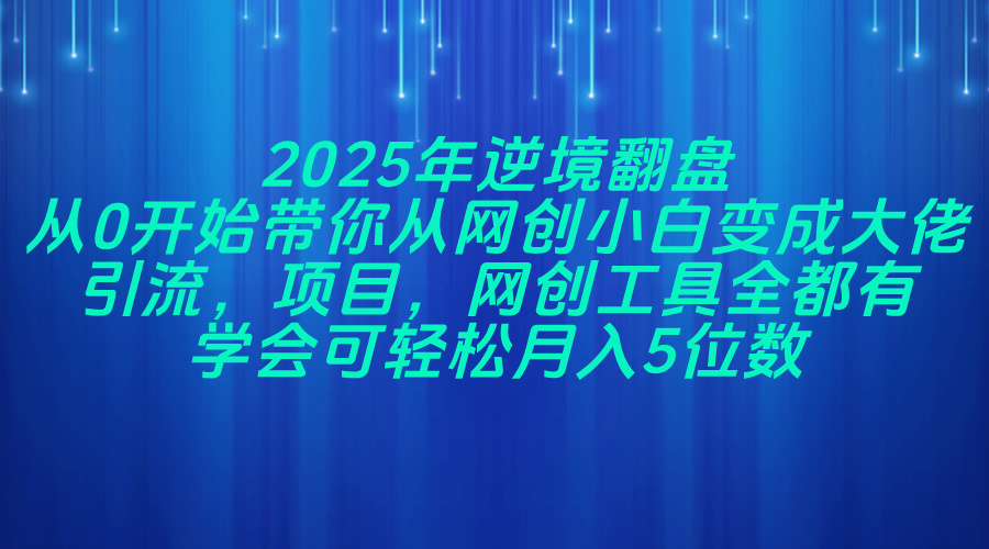 2025年逆境翻盘，从0开始带你从网创小白变成大佬，引流，项目，网创工…-智宝网创