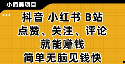 小而美的项目，抖音小红书B站视频点赞、关注、评论就能挣钱，简单无脑立见收益，妥妥的零撸项目【揭秘】-智宝网创