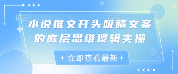 小说推文开头吸睛文案的底层思维逻辑实操-智宝网创
