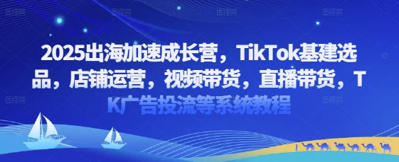 2025出海加速成长营，TikTok基建选品，店铺运营，视频带货，直播带货，TK广告投流等系统教程-智宝网创