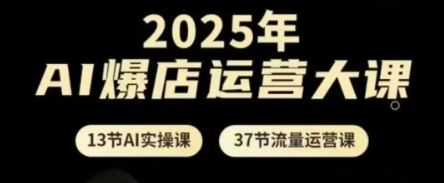 .2025年AI爆店运营大课，13节AI实操课+37节流量运营课-智宝网创