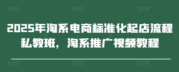 2025年淘系电商标准化起店流程私教班，淘系推广视频教程-智宝网创